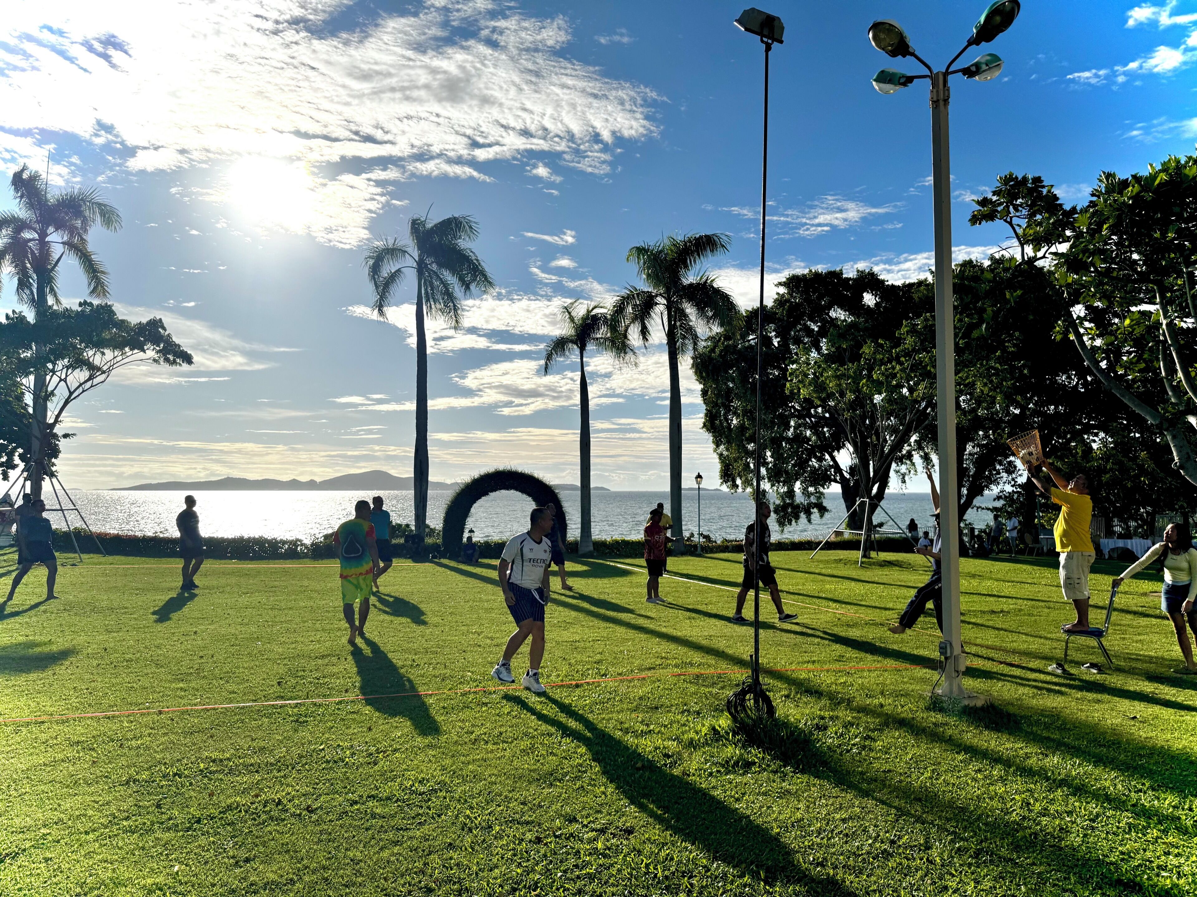 A grassy park with trees and a clear sky.