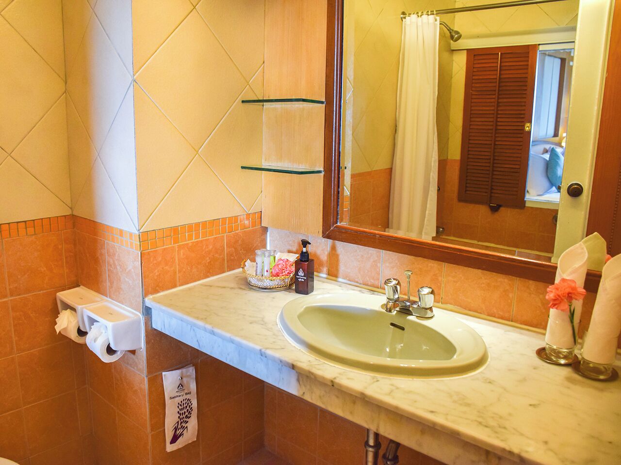 A bathroom with a sink, mirror, and toiletries.