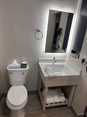 Shower, hydromassage showerhead, designer toiletries, hair dryer - The Overland Hotel Downtown Flagstaff NAU Conference Center (Flagstaff)