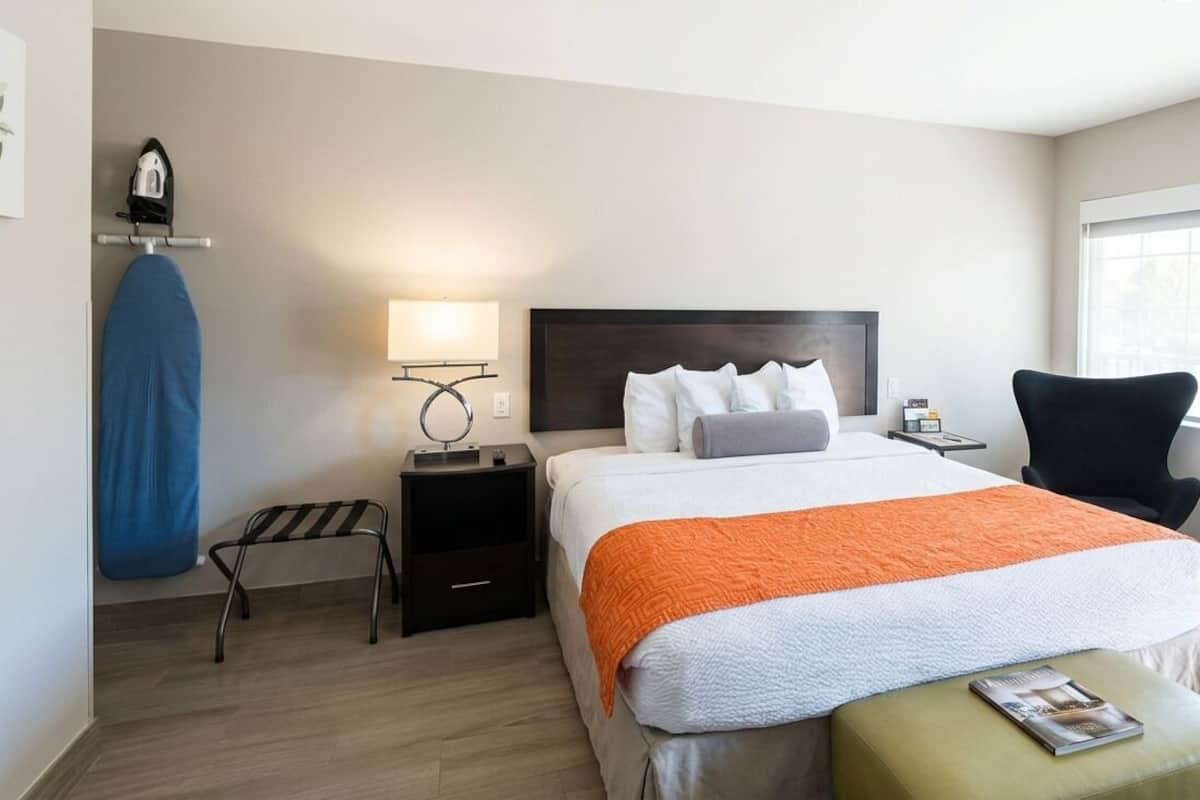 Deluxe King Non-Smoking | Premium bedding, blackout drapes, free WiFi, bed sheets