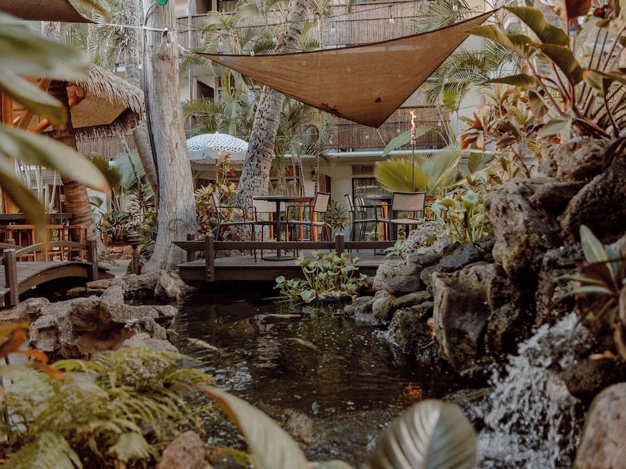 Jardín interior con fuente de agua, zona de estar y plantas tropicales.