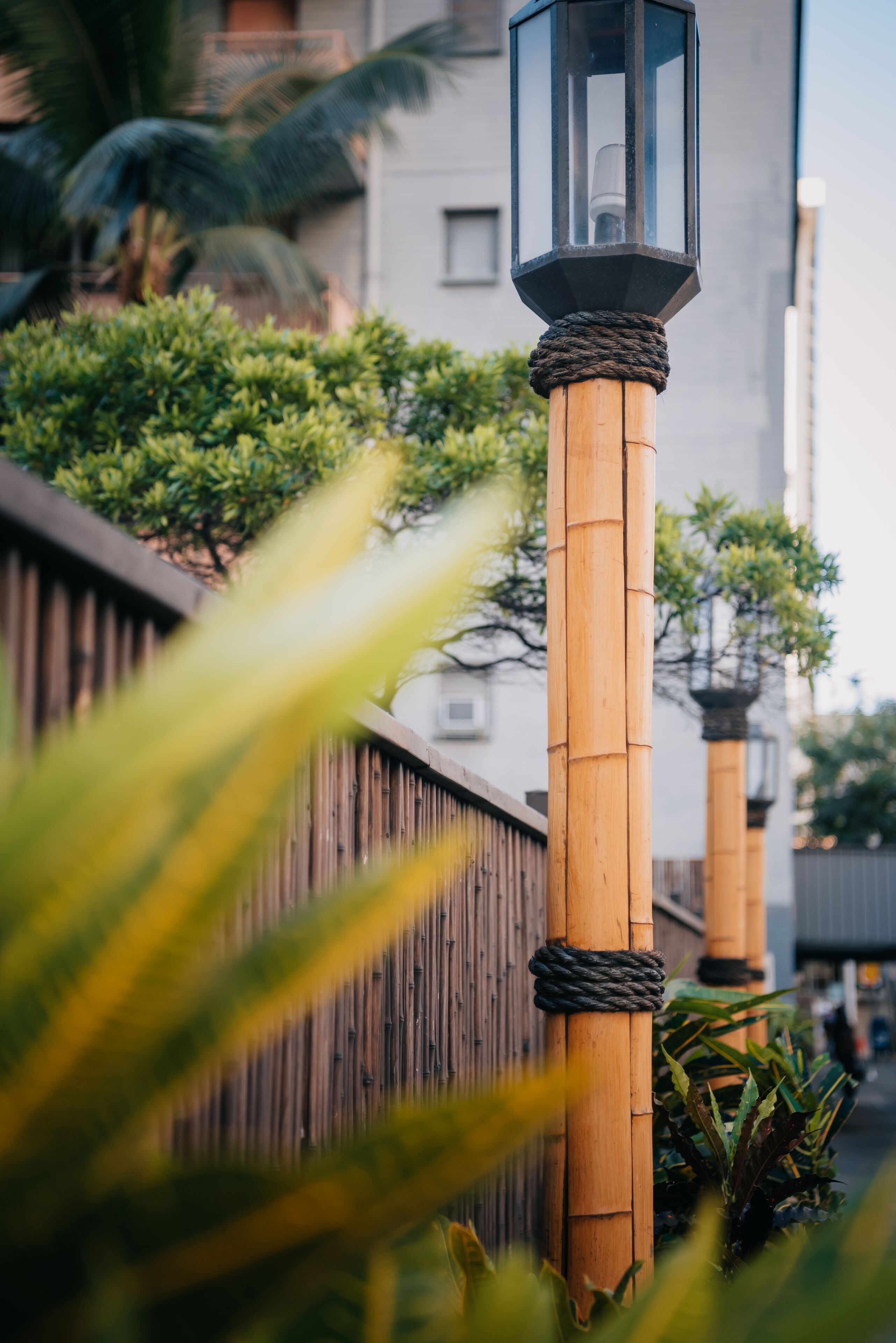 Foto - White Sands Hotel