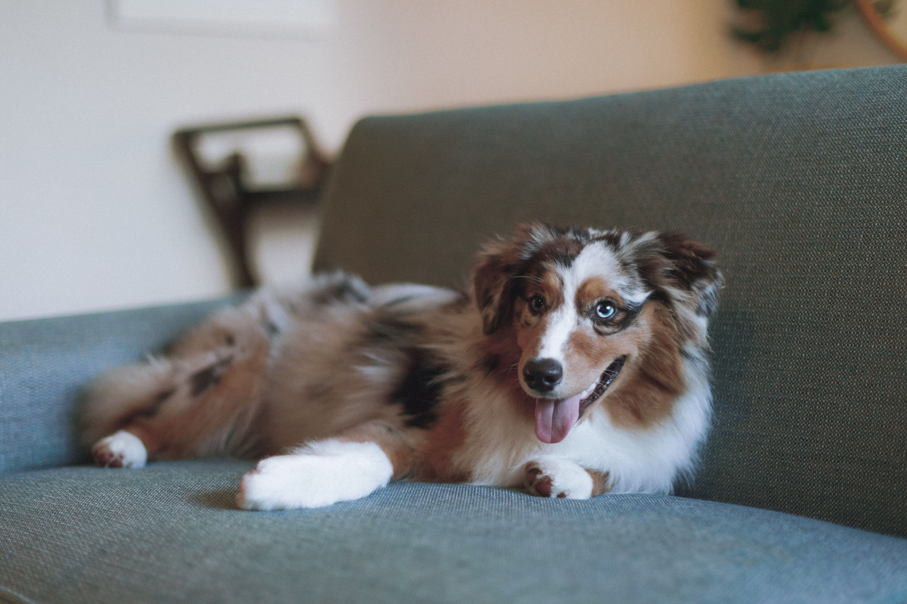 Foto - White Sands Hotel