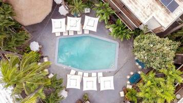 Outdoor pool, sun loungers