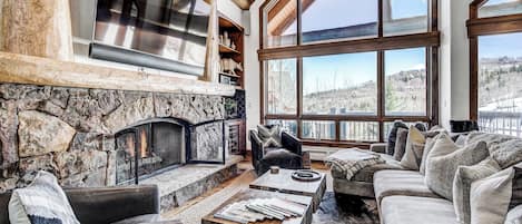 Televisión, chimenea y reproductor de DVD