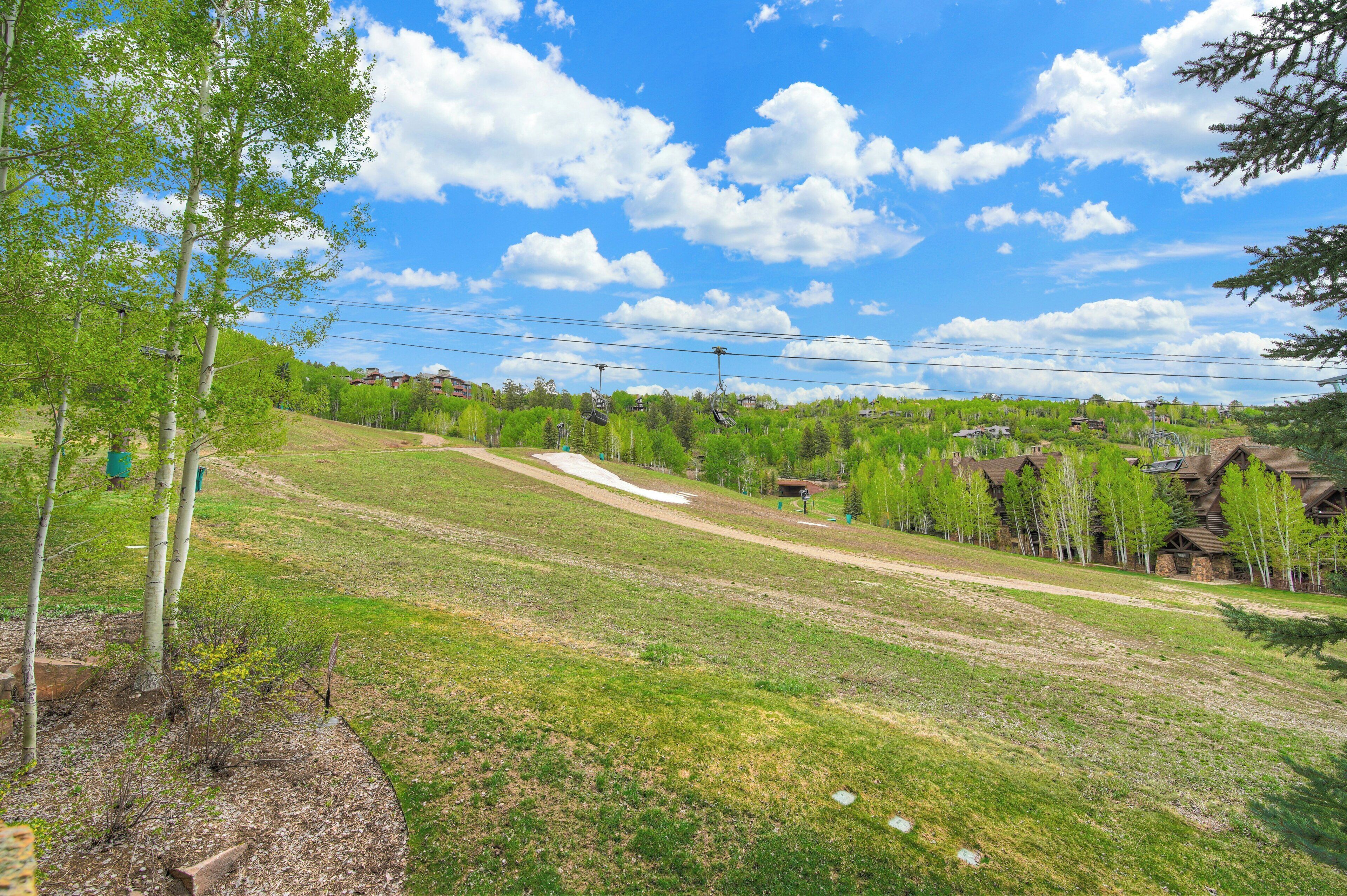 A grassy area with a dirt path leading to a row of log cabins.
