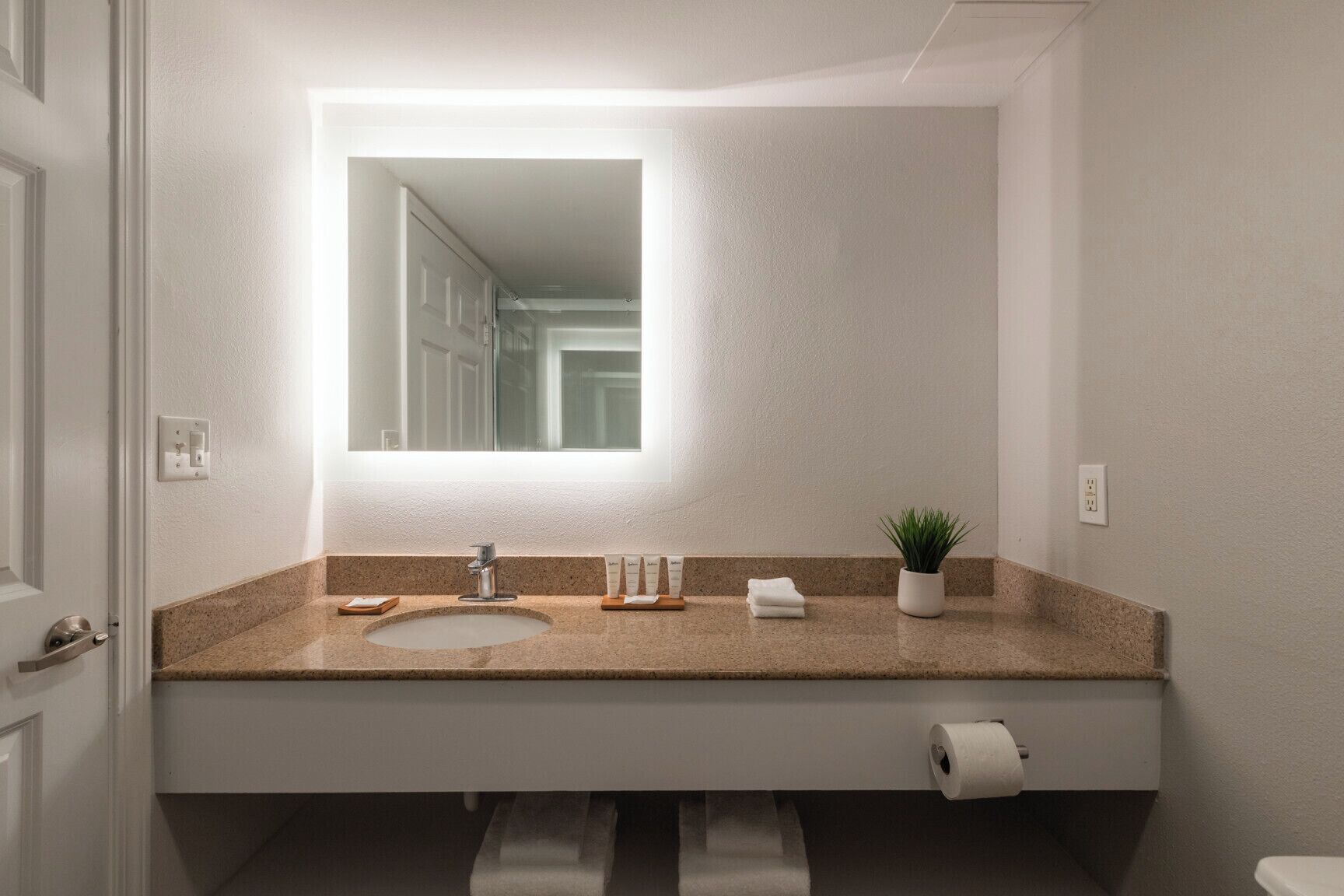 A bathroom with a large mirror, a sink, a towel rack, a plant, and a toilet paper holder.