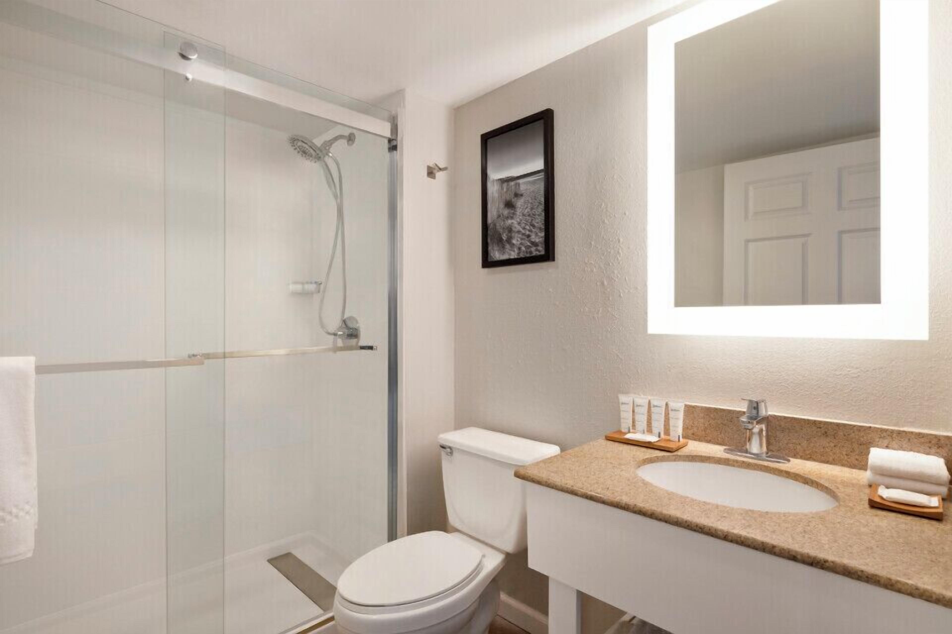 A modern bathroom with a glass shower enclosure, a white toilet, a sink with a granite countertop, and a framed picture on the wall.