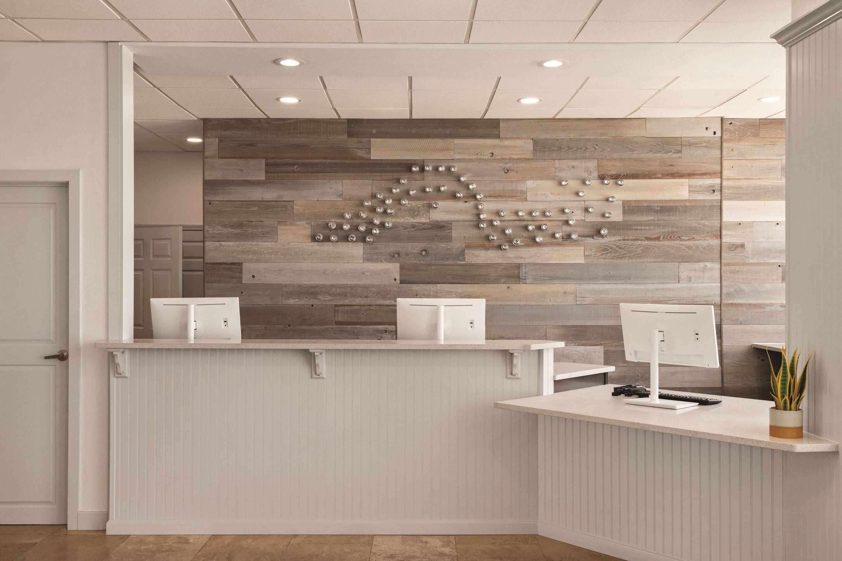 A reception desk with a wooden wall design, a white counter, and a potted plant.