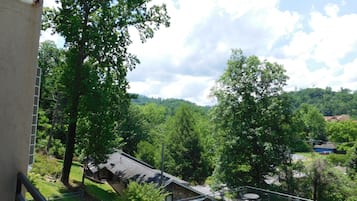 Condo, 1 Bedroom (206) | Balcony view