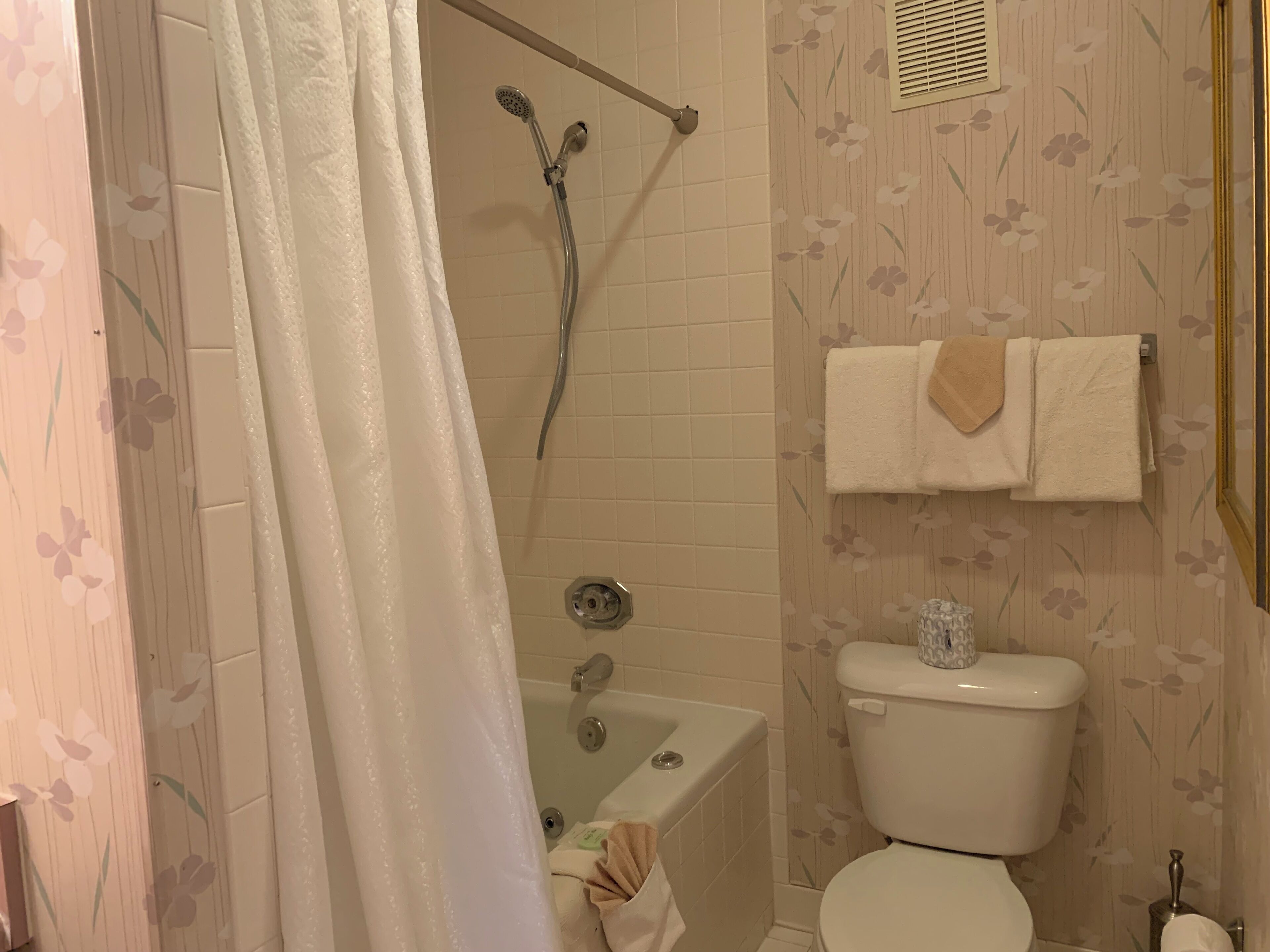Ein Badezimmer mit Dusche, Badewanne, Toilette und Handtuchhalter.