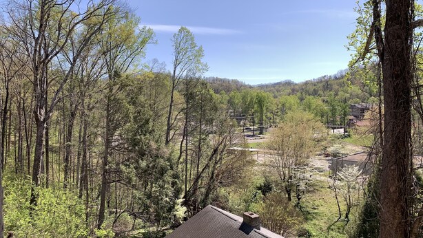 A house with a sloped roof, surrounded by a forested area with tall trees and a clear sky. - Laurel Inn Condominium (Gatlinburg)