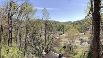 Apartment, 1 Schlafzimmer (411) | Blick auf die Berge