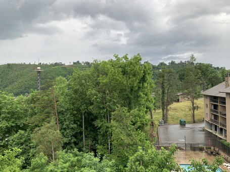 Laurel Inn Condominium - Image 79