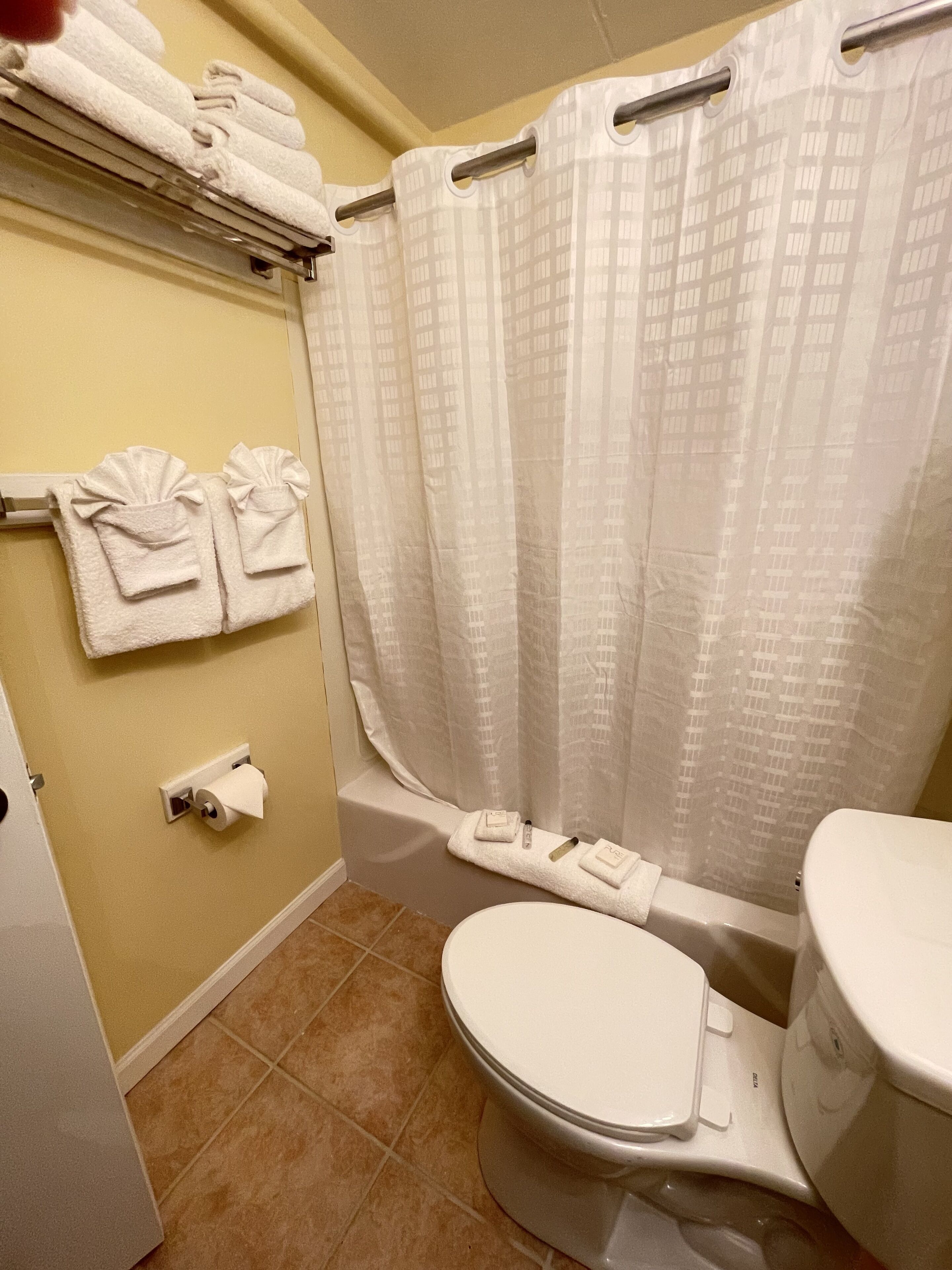combined shower/bathtub, free toiletries, hair dryer, towels
