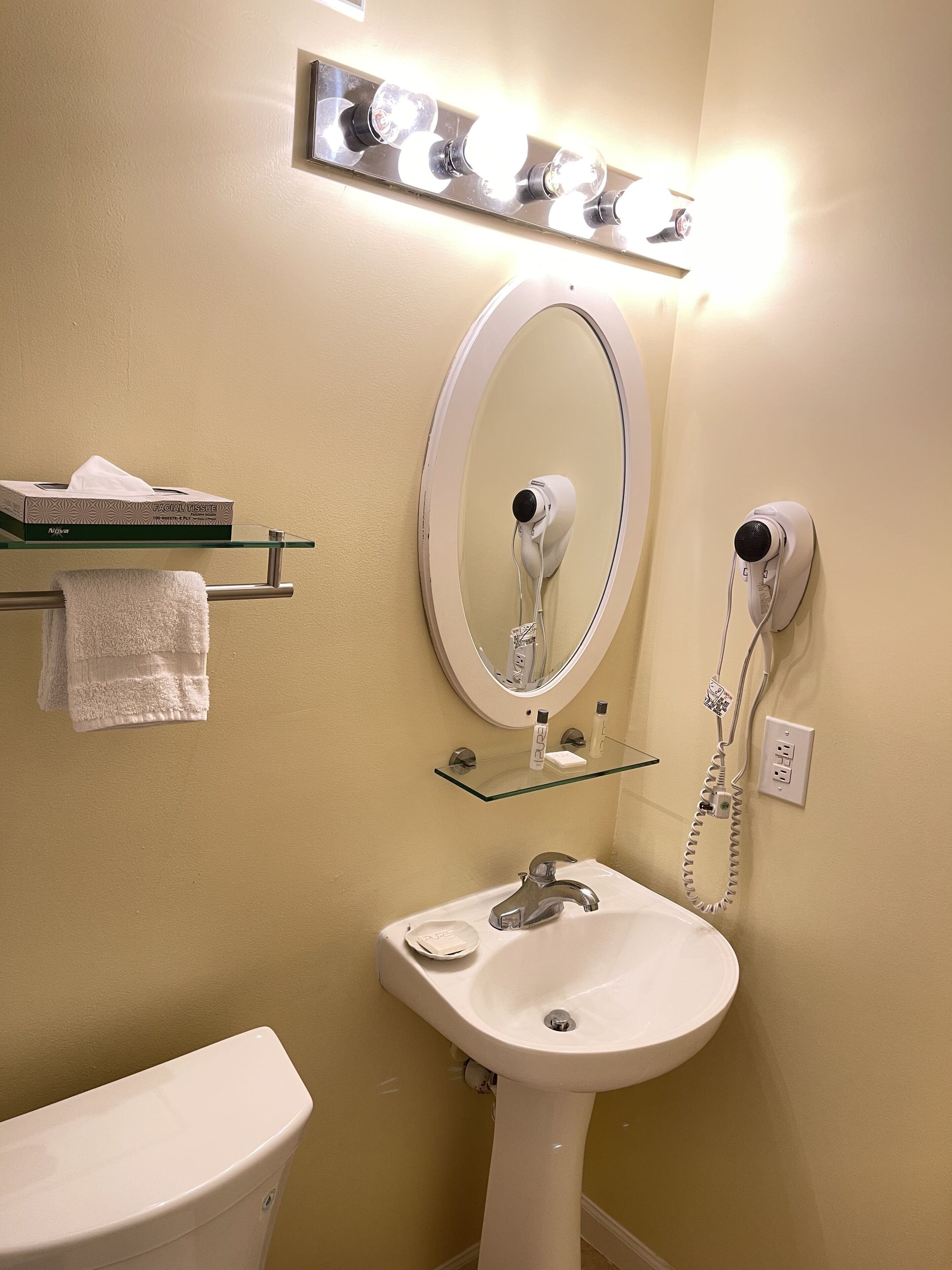combined shower/bathtub, free toiletries, hair dryer, towels