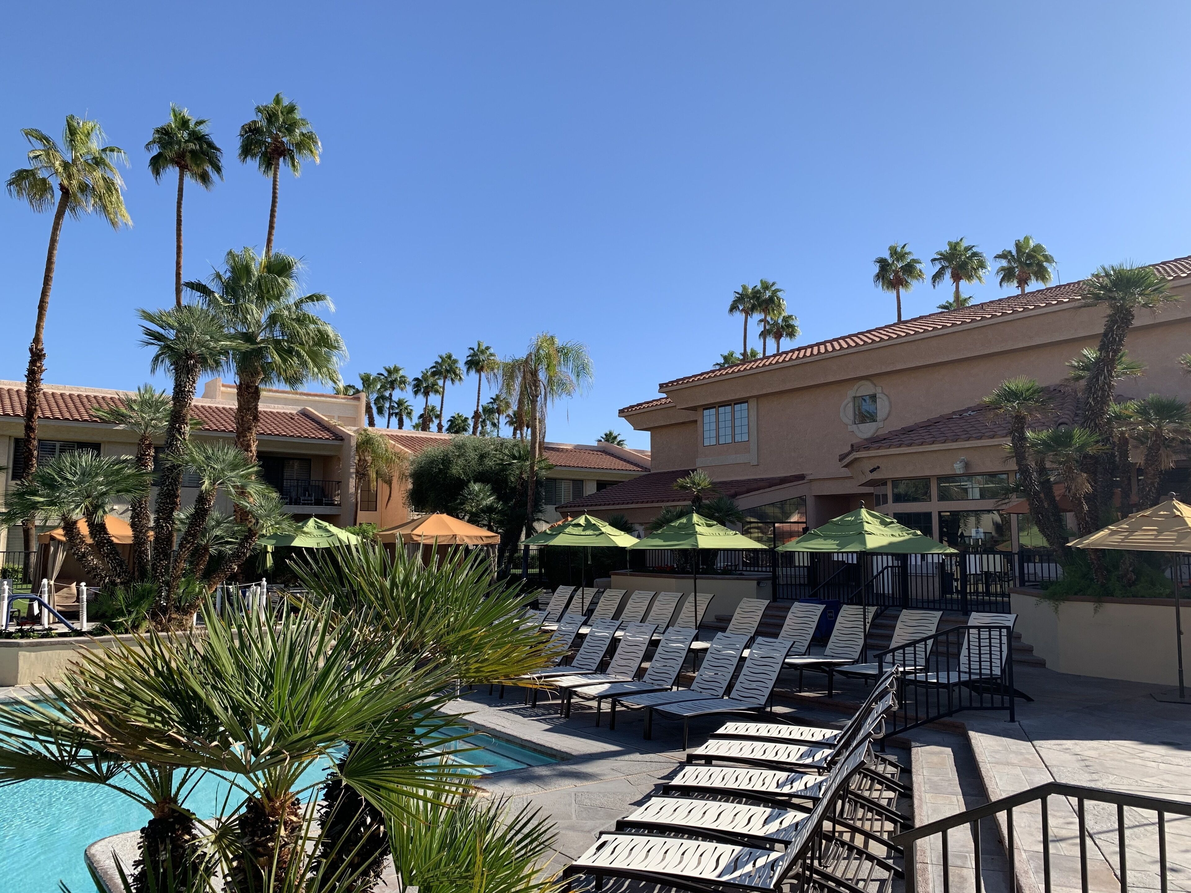 A poolside area with lounge chairs and umbrellas, surrounded by palm trees and a building with a tiled roof.