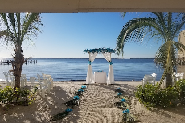Outdoor wedding area
