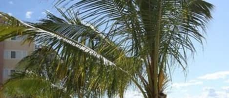 Privat strand, brettseiling, seiling og kajakkpadling