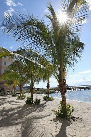 Private beach, windsurfing, sailing, kayaking