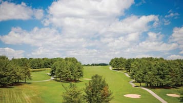 A golf course with a clear sky, trees, and sand bunkers.