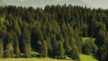 A rural landscape with a field of green grass, a herd of cows, and a forest in the background.