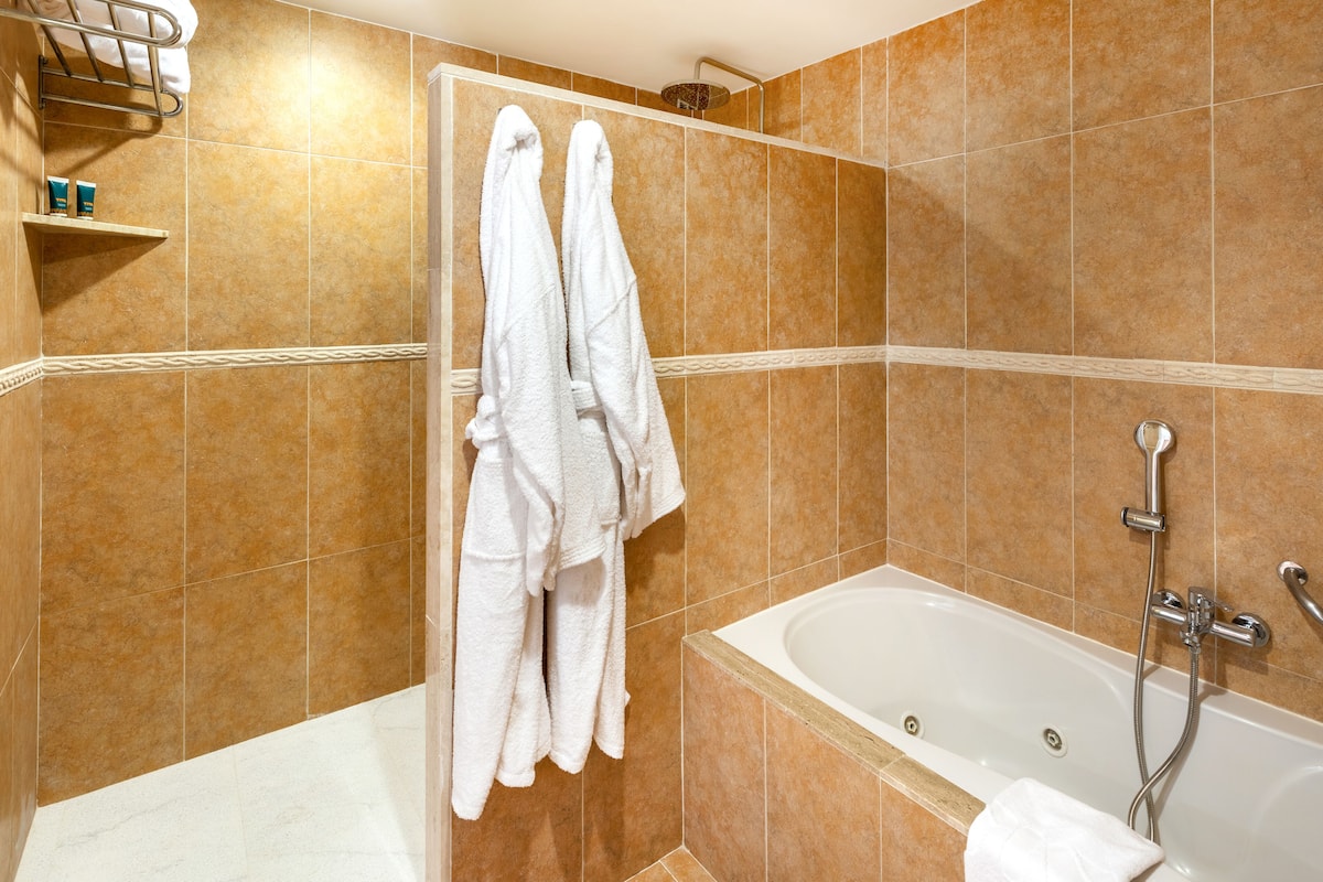 Separate tub and shower, free toiletries, hair dryer, bathrobes
