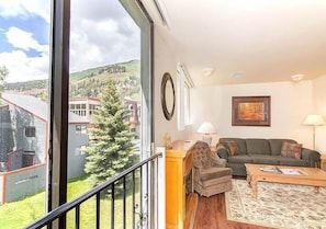 Flat-screen TV, DVD player - Telluride Lodge by Telluride Alpine Lodging (Telluride)