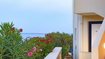 Vista desde la propiedad