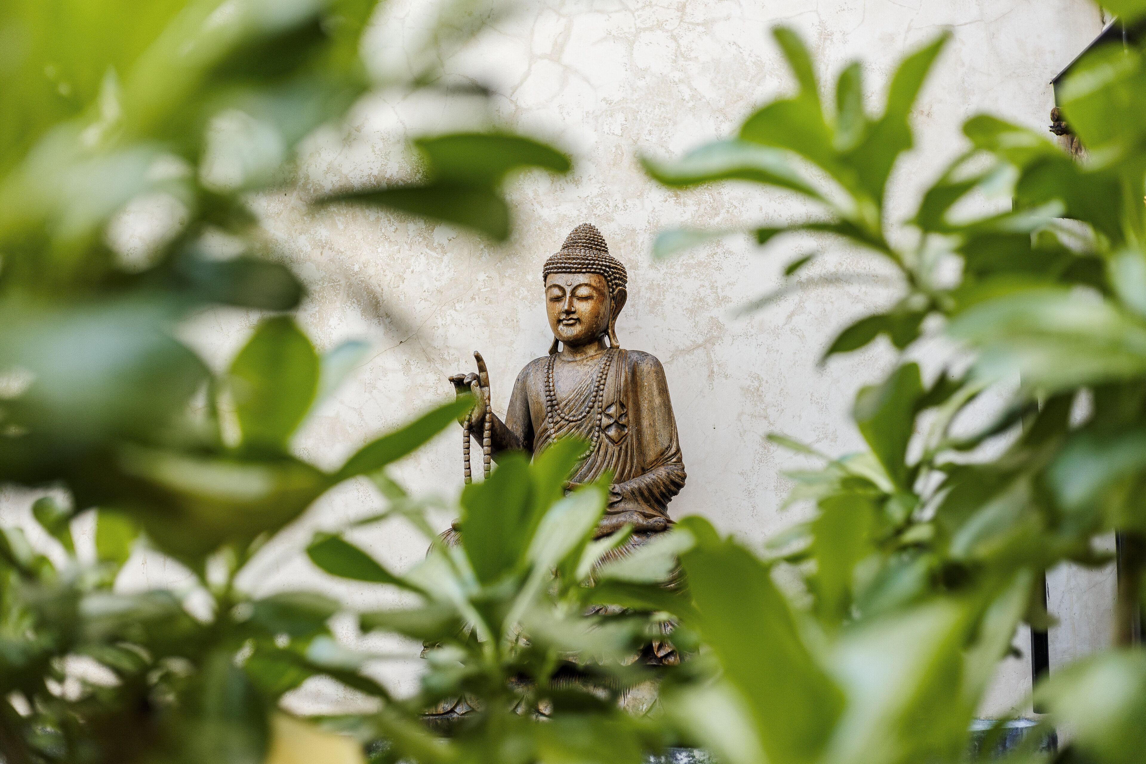 Photo - Caribbean Paradise Hotel & Spa - 5th Avenue