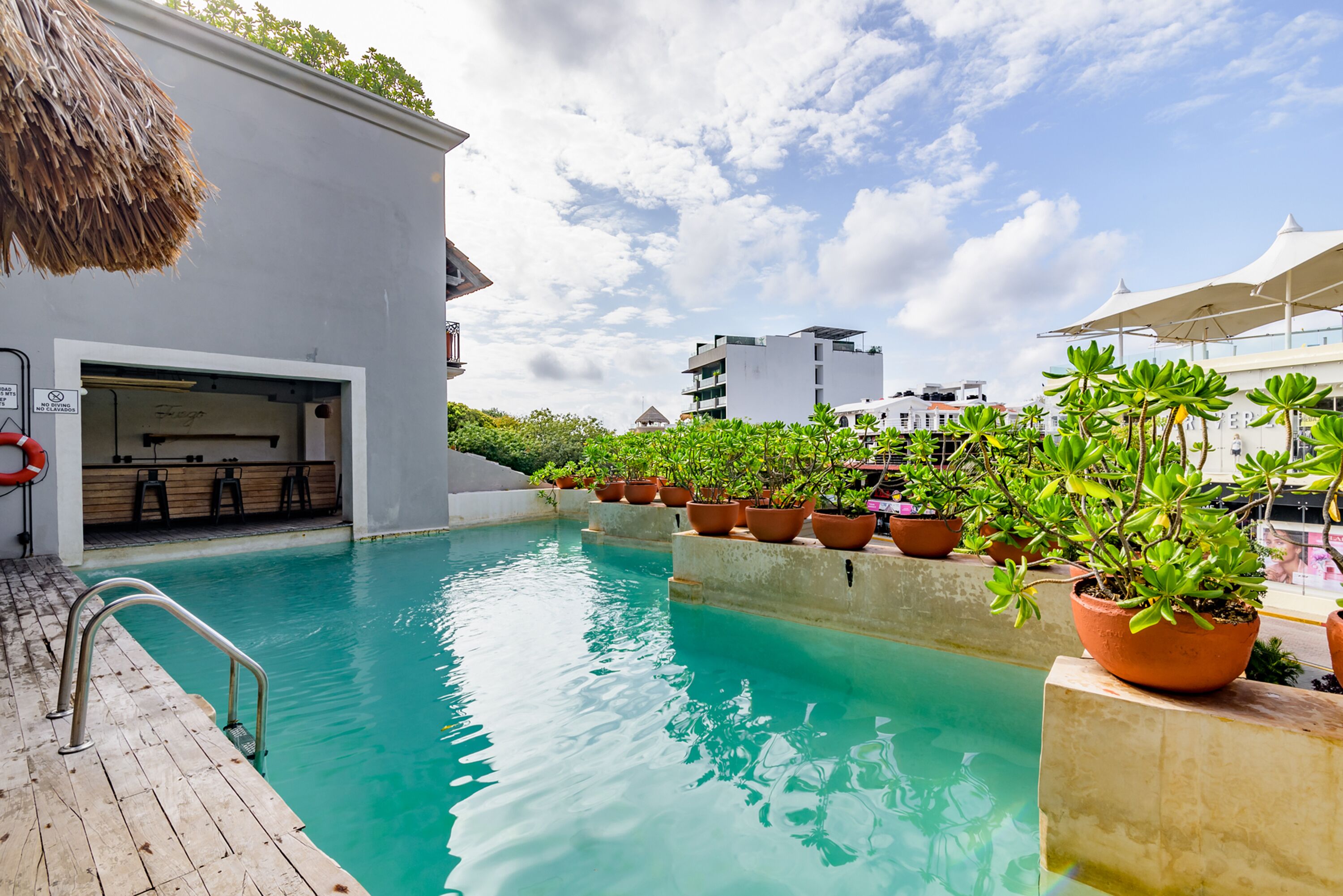 Una piscina con muelle de madera y plantas en macetas.