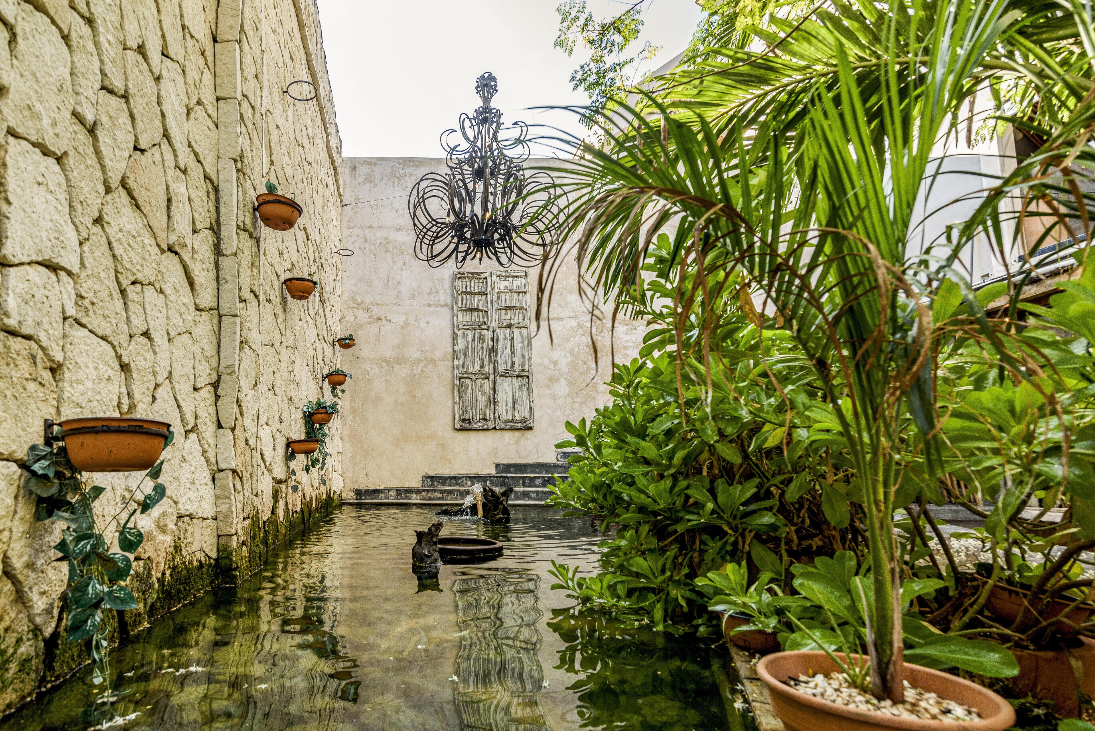 Photo - Caribbean Paradise Hotel & Spa - 5th Avenue