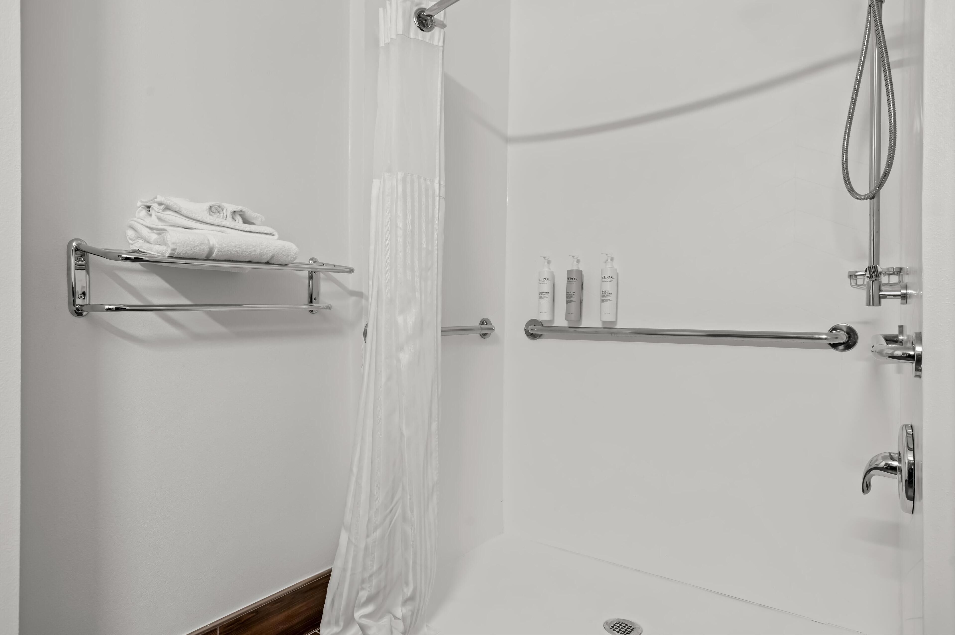 Room, 1 King Bed with Sofa bed, Roll-in Shower | Bathroom shower