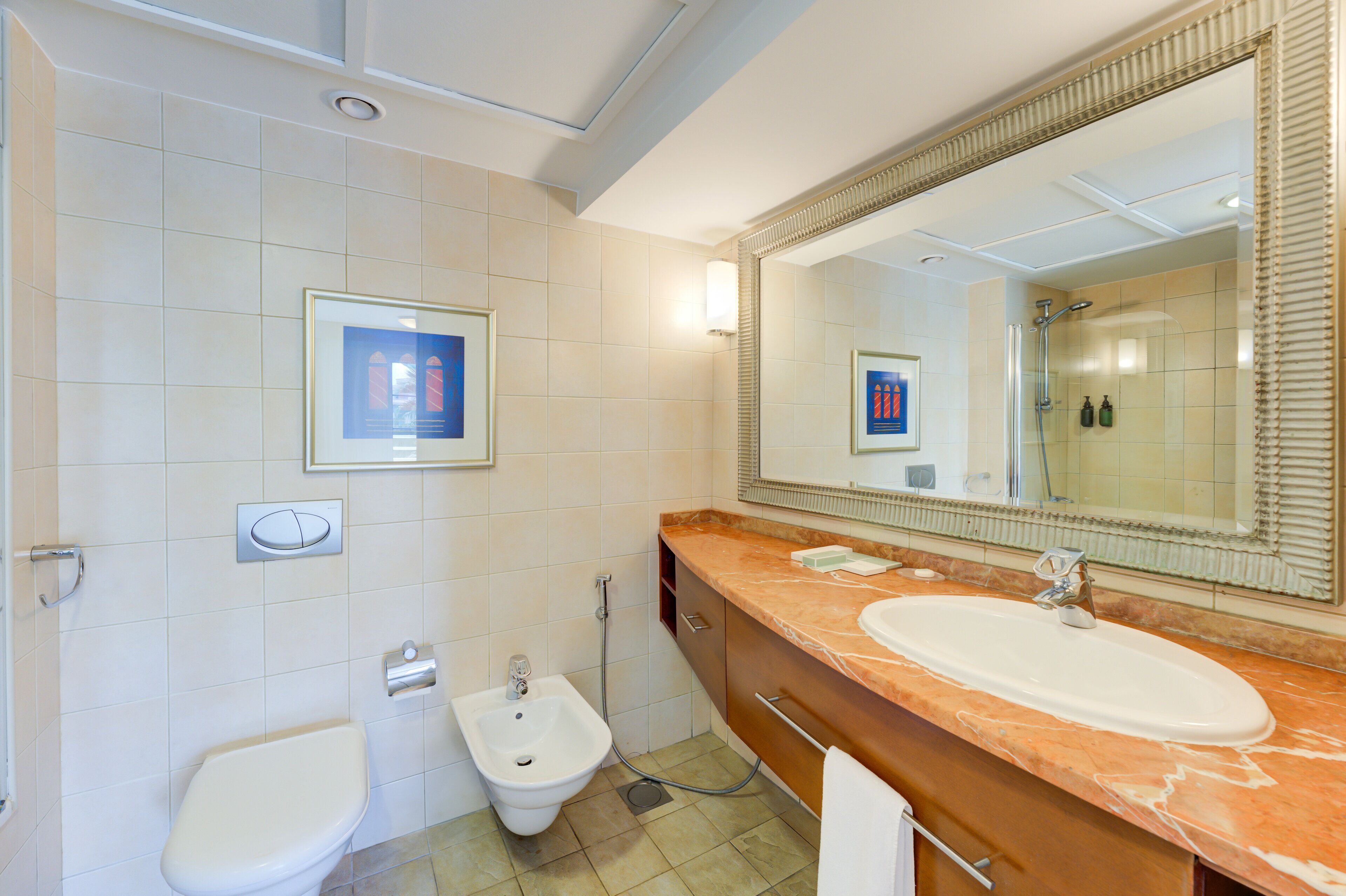 Ein Badezimmer mit einem Bidet, einem Waschbecken, einem großen Spiegel und einem gerahmten Bild an der Wand.