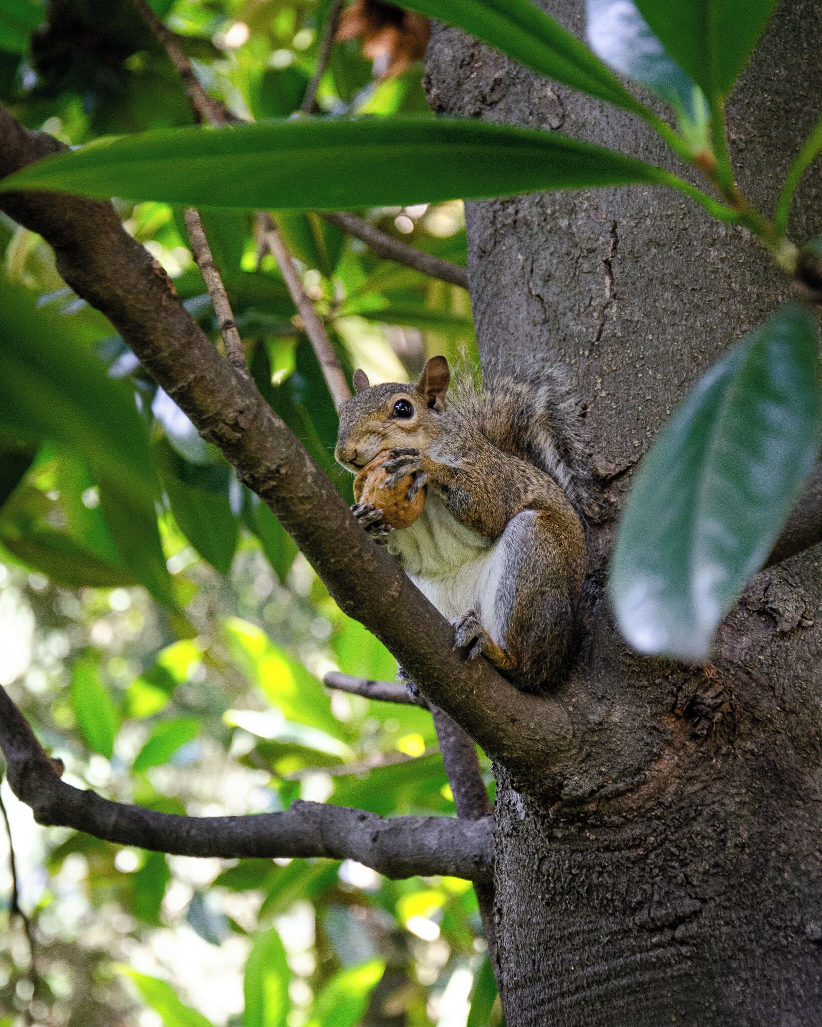 Photo - Hotel Tiziano - Gruppo Mini Hotel