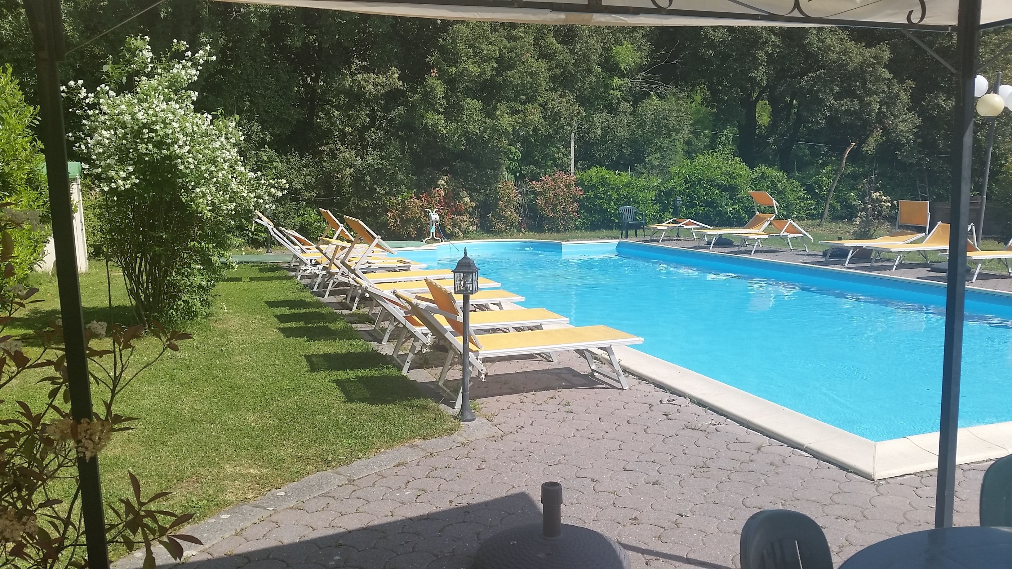 seasonal outdoor pool, open 9:00 am to 7:00 pm, pool umbrellas