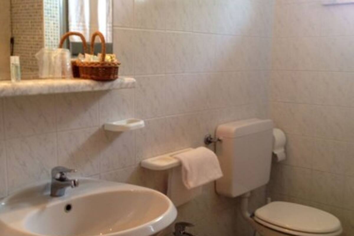 standard double or twin room | bathroom | shower, free toiletries, hair dryer, bidet