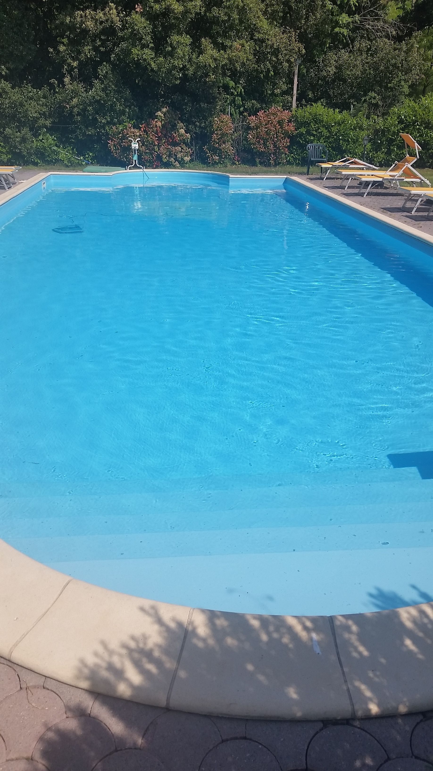 seasonal outdoor pool, open 9:00 am to 7:00 pm, pool umbrellas