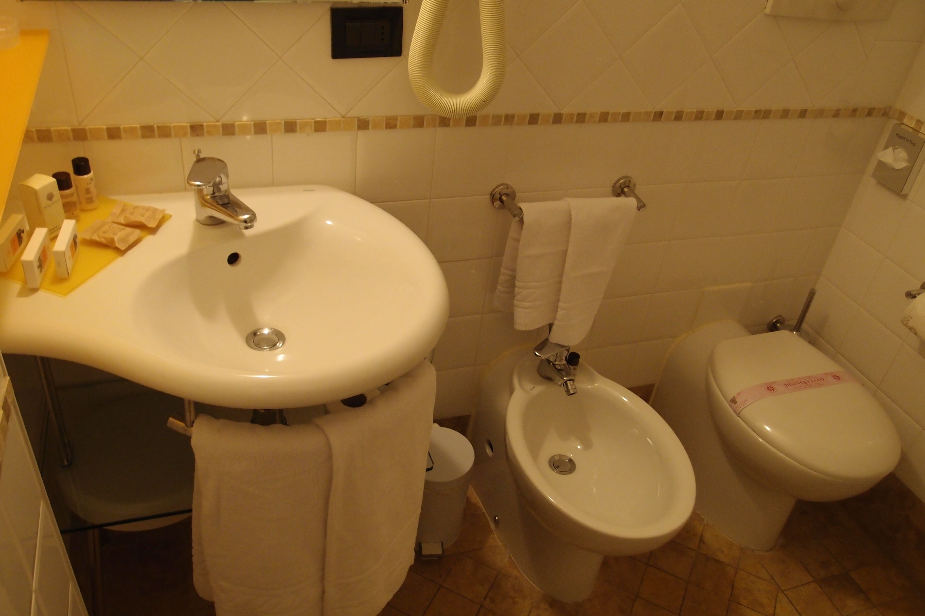 shower, free toiletries, hair dryer, slippers