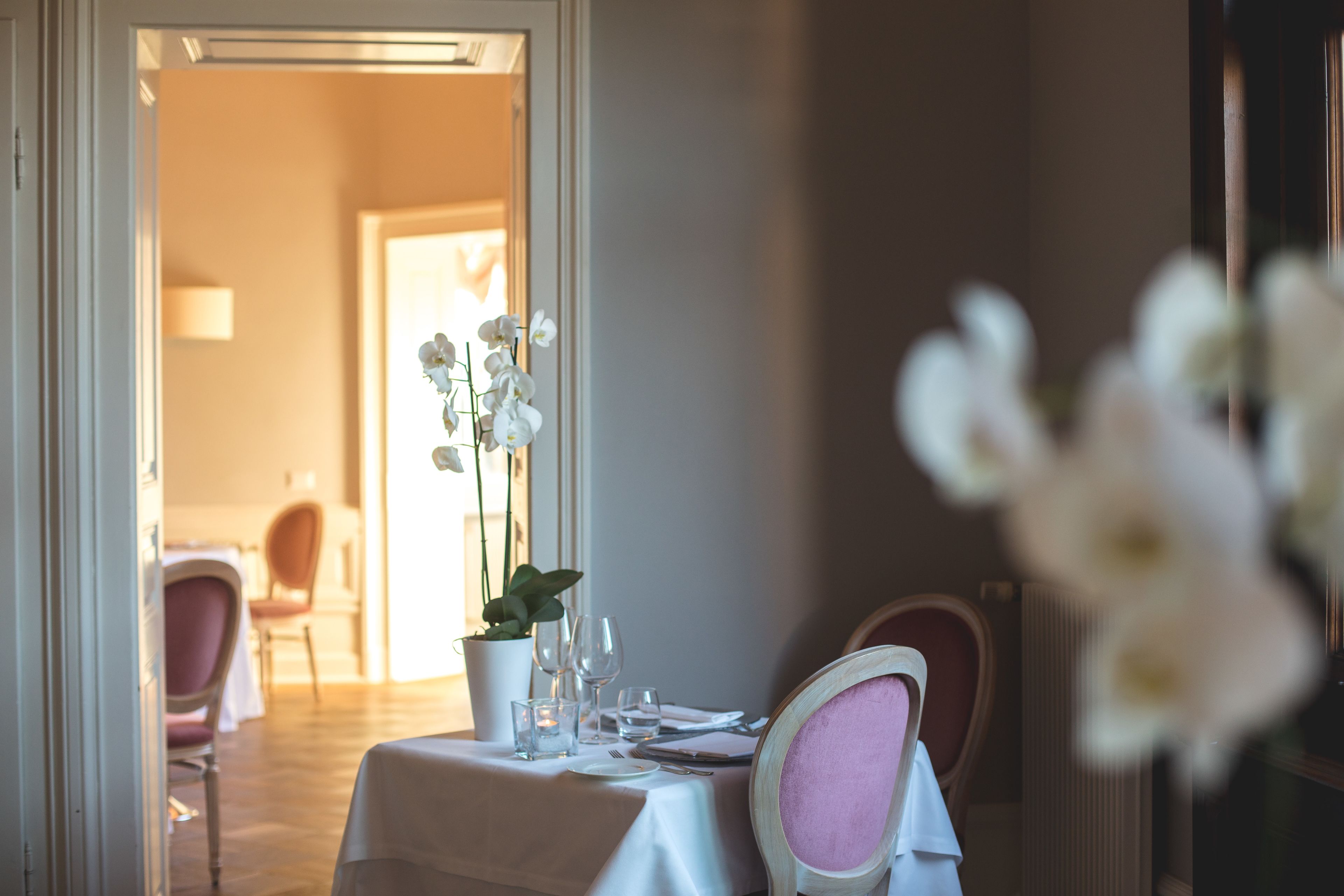 A dining table set with white tablecloth, pink chairs, and a potted orchid.