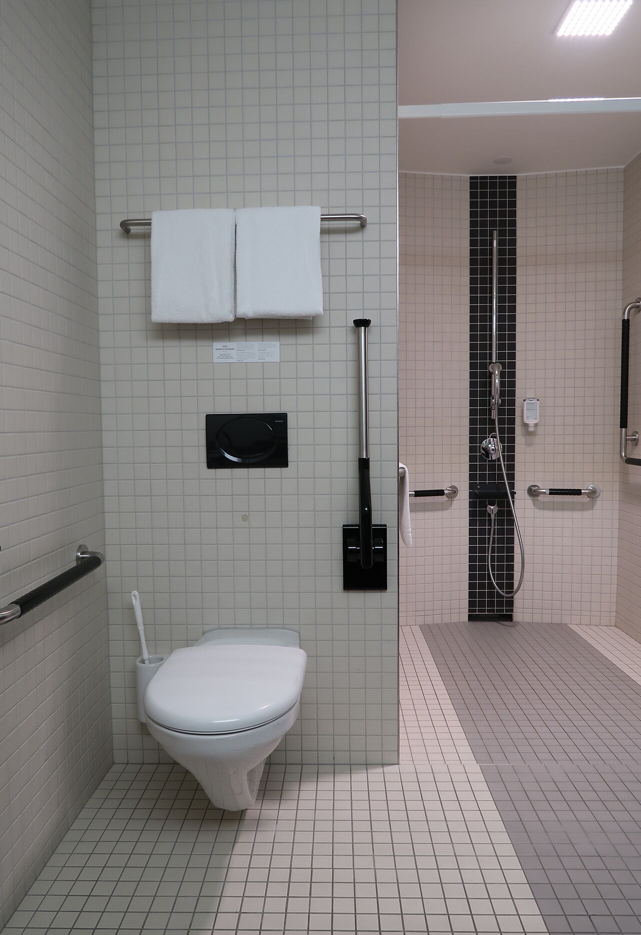 Une salle de bain comprenant des toilettes, une douche et un porte-serviettes.
