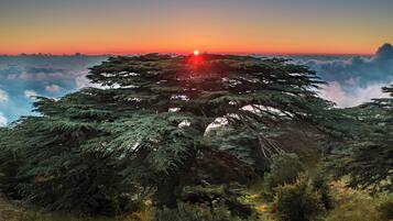 A mountainous landscape with dense forest and a sunset.