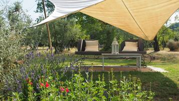 A garden with a table and chairs under a shade sail, surrounded by various plants and flowers.