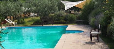 A swimming pool with a stone deck, surrounded by greenery and a shaded area.