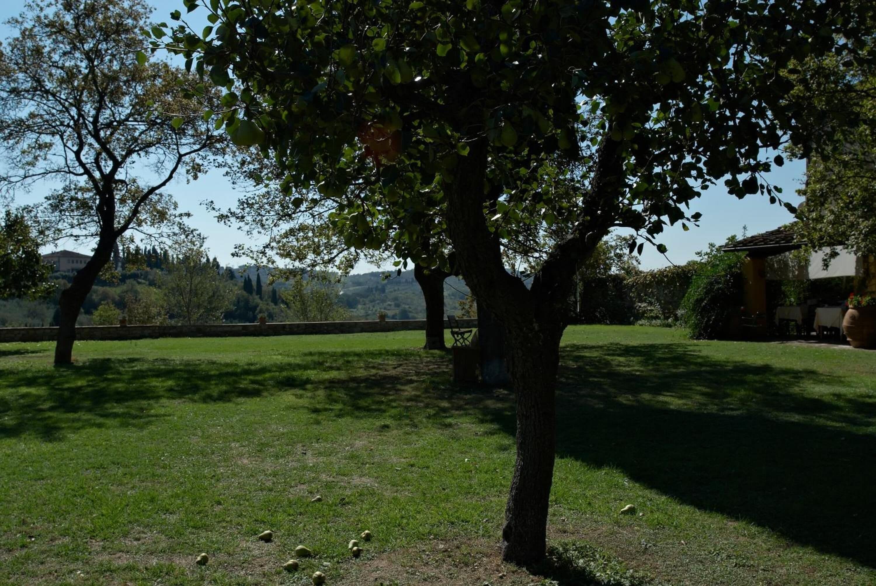A tree-lined grassy area with a stone wall and a building in the background.