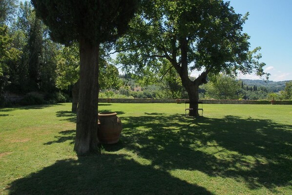 A grassy outdoor area with two large trees and a stone wall in the background.