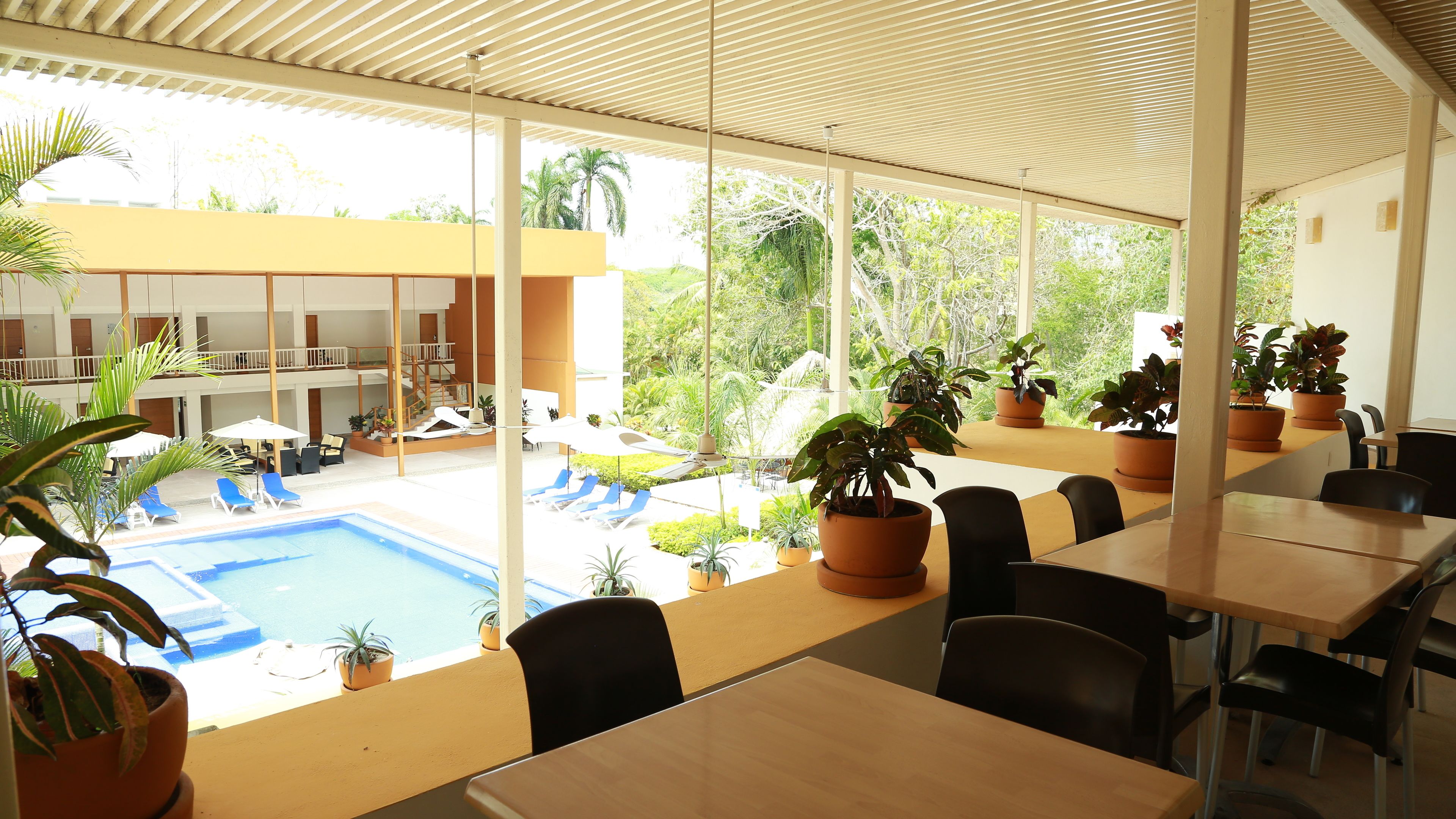 Un hôtel doté d’une piscine, d’un espace extérieur aménagé et de plantes en pot.