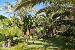 Jardín