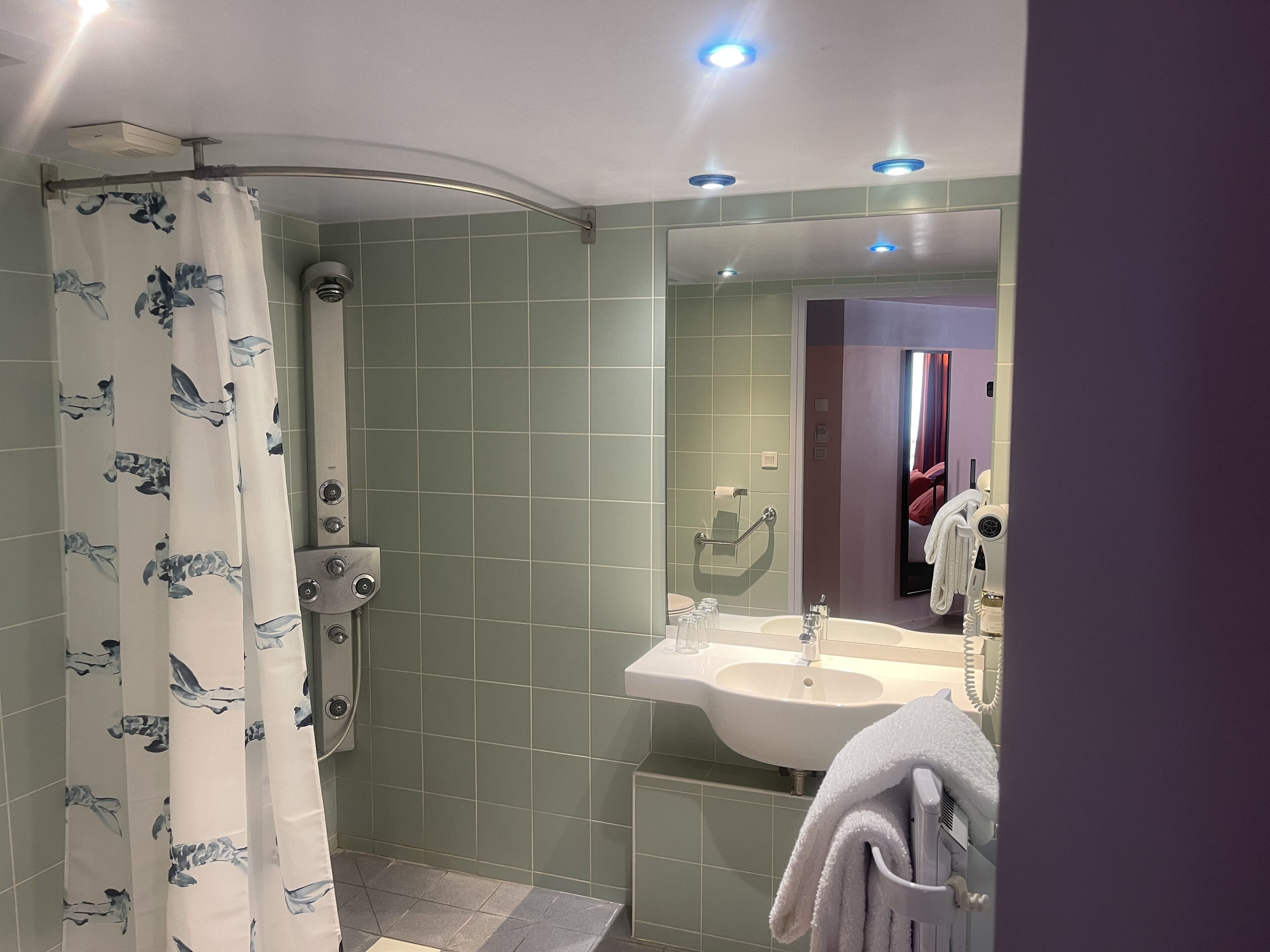 A modern bathroom with a shower, a sink, and a mirror.