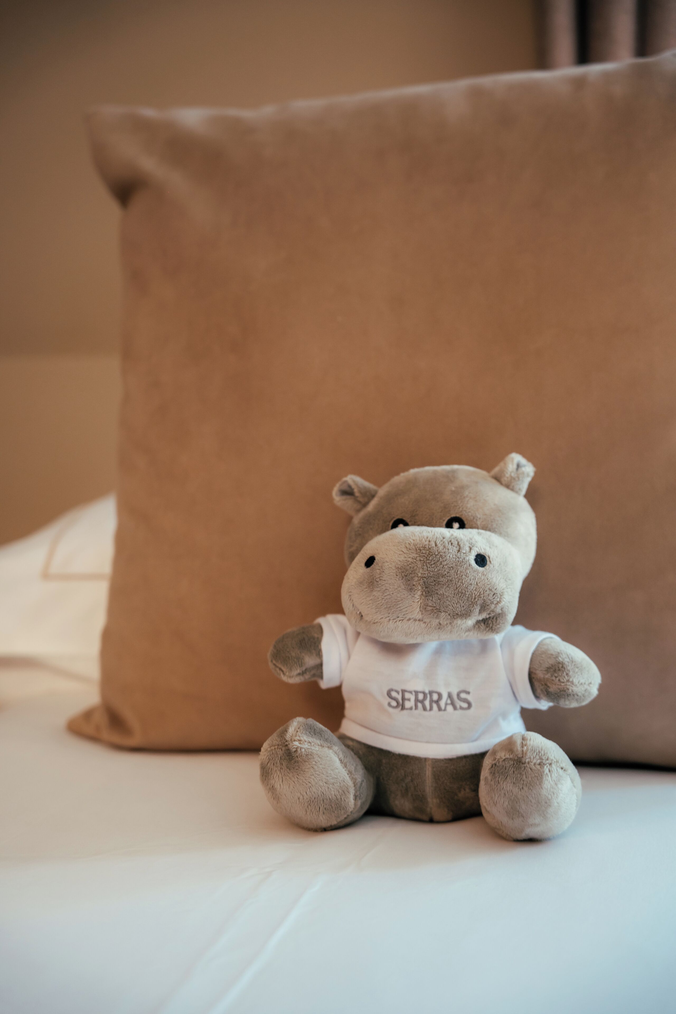 Foto - Eurostars Andorra